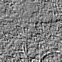 st06_uweE2165.jpg