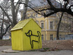 yellow dog house