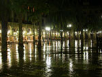 bcn07_uweE9696.jpg