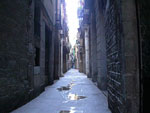 bcn07_uweE9775.jpg