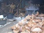 coconut sugar herstellung