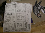 nyc06_uweE20051.jpg