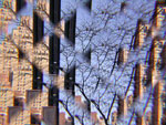 nyc06_uweE20566.jpg