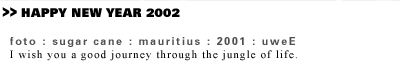 
>> HAPPY NEW YEAR 2002 : greetings from uweE
          
foto : sugar cane : mauritius : 2001 : uweE 
I wish you a good journey through the jungle of life.
          