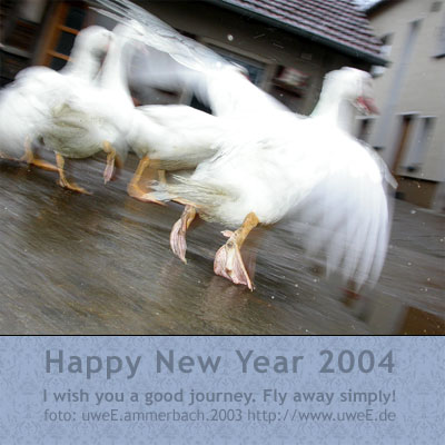 
Happy New Year 2004

I wish you a good journey. Fly away simply!
foto: uweE.ammerbach.2003 http://www.uweE.de
          